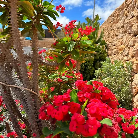 Casa Marisa With Heated Pool & Garden Holiday home *